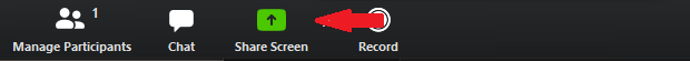 Zoom share screen selection window